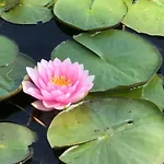 Feriehus Seeidyll Prieros