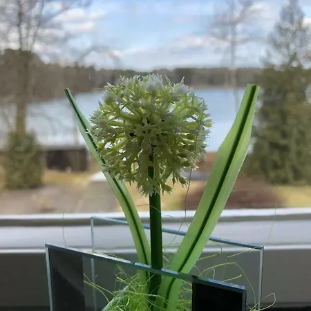 Nyaraló Seeidyll Prieros