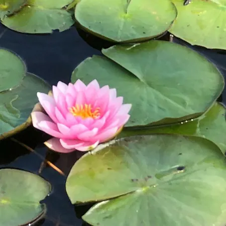 Tatil Evi Seeidyll Prieros