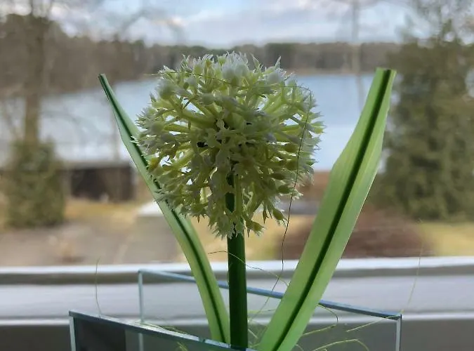 Casa vacanze Seeidyll Prieros