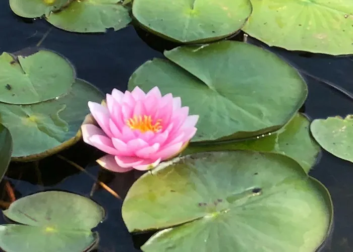 Сasa de vacaciones Seeidyll Prieros